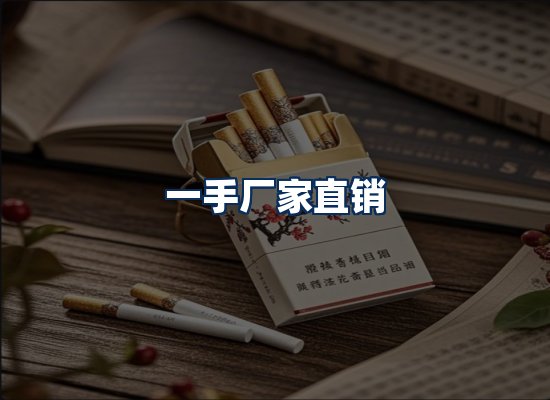 专业团队办公环境